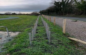 Forestry-Contracting Preston